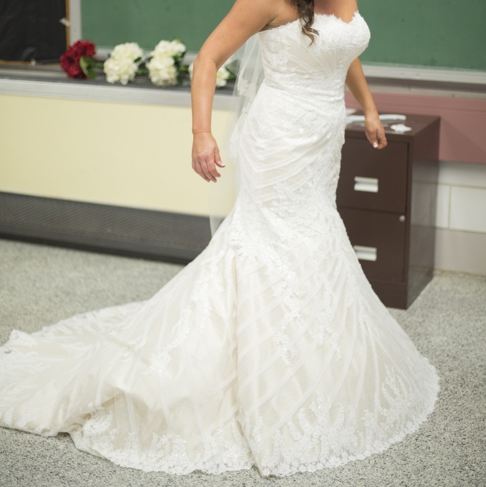 Matthew Christopher | Sophia Wedding Gown & Veil Size 14 - Picture 6 of 16
